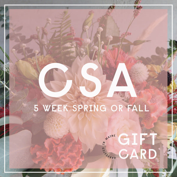 GIFT CARD FLOWER BOUQUET SUBSCRIPTION CSA FRESH PICKINS