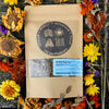 Herbal tea with dried flowers around it.
